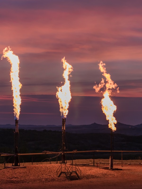 Standard Flares and Combustors